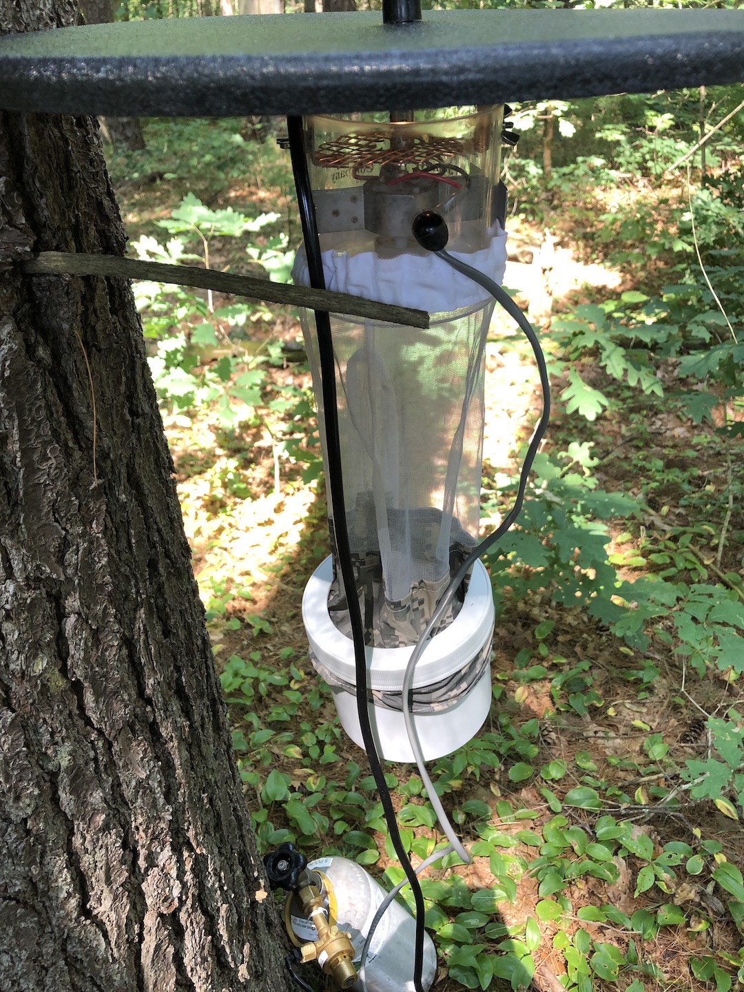 CO2 light trap deployed